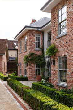 a row of brick houses with hedges in the front yard and side walk leading to each other