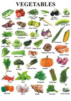 an image of vegetables that are labeled in english