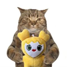 a cat is holding a stuffed toy in its paws