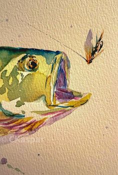 a watercolor painting of a fish with a butterfly on it's back end