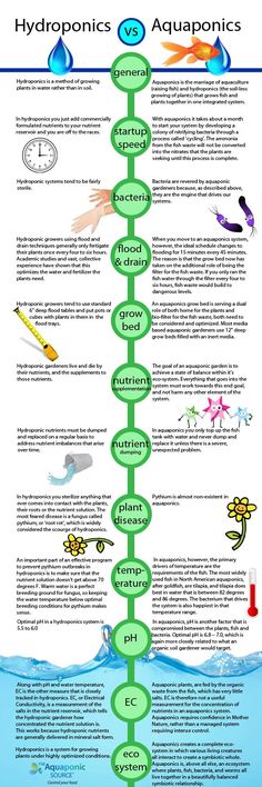 the hydroponics and aquatics poster