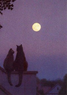 two cats sitting on top of a roof looking at the moon