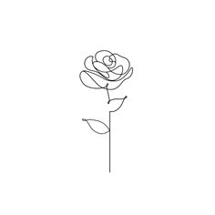 a single line drawing of a rose