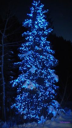 a large blue christmas tree is lit up in the night sky with snow on the ground