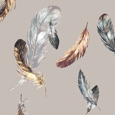 watercolor feathers flying in the air on a gray background with white and brown colors