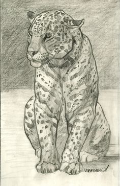 a pencil drawing of a leopard sitting on the ground