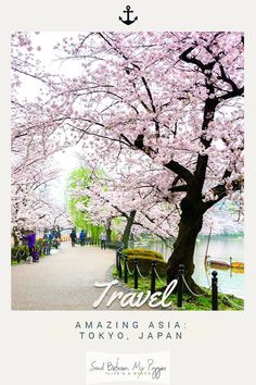 an image of a tree with pink flowers in the foreground and text that reads travel amazing asia tokyo, japan