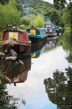 there are many boats that are docked on the water