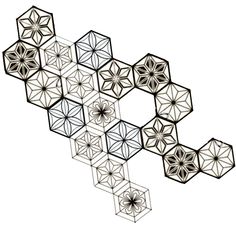 an image of some sort of geometric object that looks like hexagonals and flowers