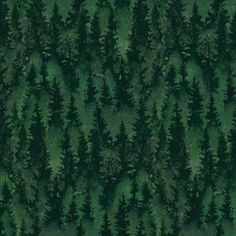 an aerial view of trees in the forest