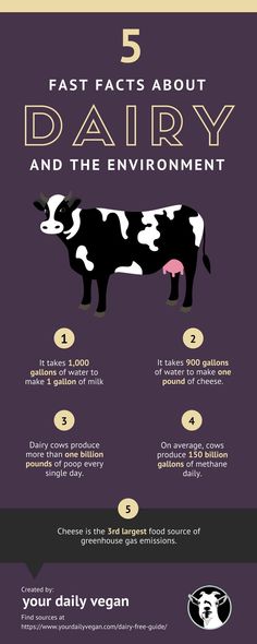 Environment Infographic, Guide Infographic, Dairy Snacks, Reasons To Be Vegan, Environment Facts, Dairy Desserts, Vegan Fast Food