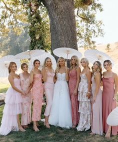 a group of women standing next to each other holding umbrellas in front of a tree