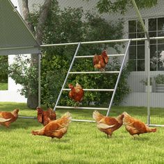 a group of chickens walking across a lush green field next to a metal structure with ladders on it