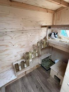 a cat sitting in the corner of a wooden hut with hay and other items inside