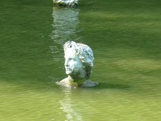 there is a statue in the water that looks like it's floating on land