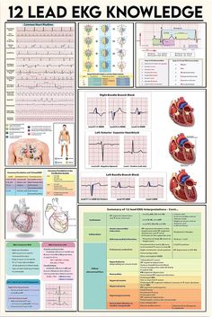 an image of medical diagrams and instructions for the human body, including heart beats