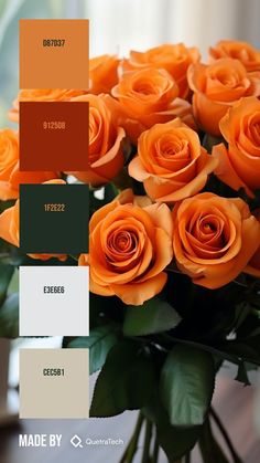 Colors:
D87D37
912508
1F2E22
E3E6E6
CEC5B1 Orange Rose Bouquet, Website Color Palette, Color Design Inspiration, Color Schemes Colour Palettes, Taste The Rainbow, Orange Roses, Aesthetic Colors, Shades Of Orange, Vibrant Orange