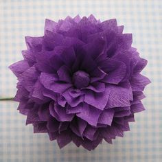 a purple flower sitting on top of a white table next to a blue checkered wall