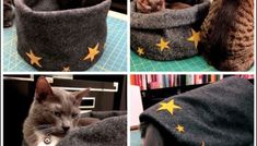 four pictures of cats sleeping in cat beds with stars painted on the sides and bottom