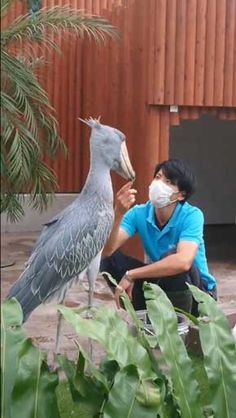 a woman kneeling down next to a bird wearing a face mask