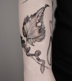 a black and white photo of a feather with an arrow on it's arm