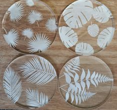 four glass plates with white leaves on them