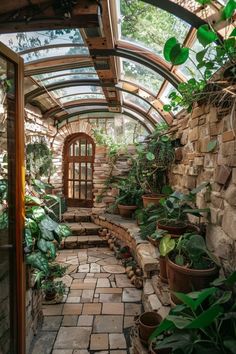 the inside of a building with many plants in pots on the ground and stairs leading up to it