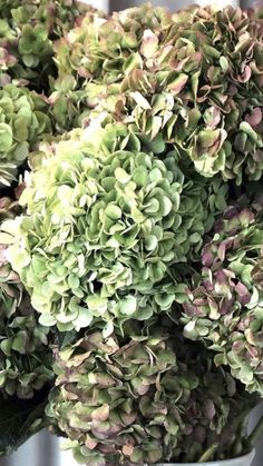 a bunch of green and pink flowers in a vase