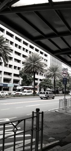 an empty street with palm trees and buildings in the background