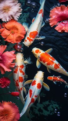 several koi fish swimming in a pond surrounded by flowers