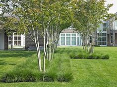 some trees and grass in front of a house