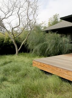 a wooden deck in the middle of a grassy area next to a tree and house