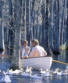 two people in a row boat surrounded by ducks