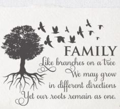 a family tree with birds flying around it and the words, like branches on a tree we may grow in different directions yet our roots remain as one