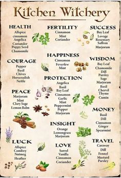 Zodia Pești, Witchcraft Herbs, Magia Das Ervas, Medical Herbs, Grimoire Book, Magic Spell Book, Kitchen Witchery