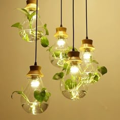 Rustic 3-Light Bulb-Shaped Glass Pendant For Restaurants And Planters 1 / Black Round Restaurant Planters, Pendant Light Set, Round Pendant Light, Pendant Light Styles, Fluorescent Tube, Plant Lighting, Suspension Light, Types Of Lighting, Lamp Bulb