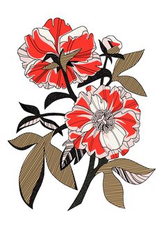 red and white flowers with leaves on a white background in an art nouveau style drawing