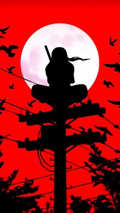 the silhouette of a woman sitting on top of a telephone pole in front of a full moon