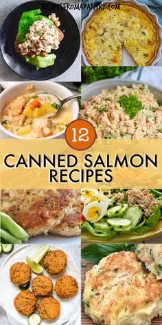 the top ten canned salmon recipes are shown in this collage with text overlay