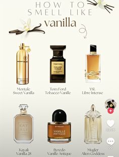 Vanilla Perfume Aesthetic, Zara Parfum, Perfume Hacks