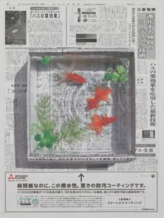 a newspaper with some goldfish in it