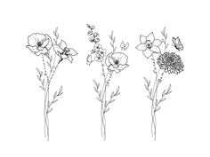 four flowers are shown in black and white