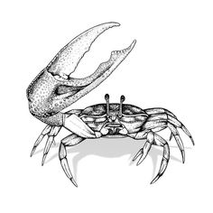 a black and white drawing of a crab with its claws extended to it's back