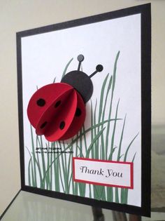 a card with a lady bug on it