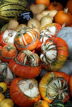 pumpkins and gourds are piled up in a pile on the ground for sale