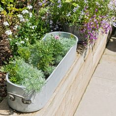 some plants that are in a metal container