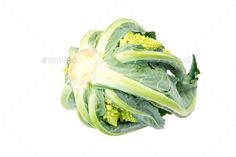 green leafy vegetables on white background - stock photo - images