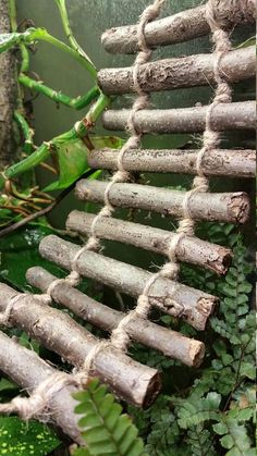 a bunch of sticks that are next to some plants