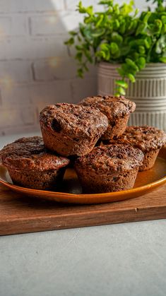 chocolate muffins on a plate next to a potted plant