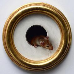 a rat in a round gold frame on a white surface, looking through the hole